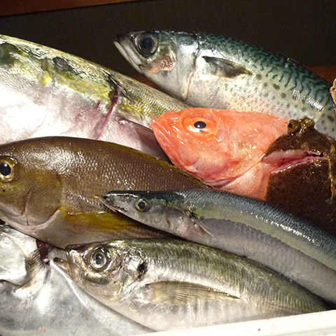 銀座魚や旬