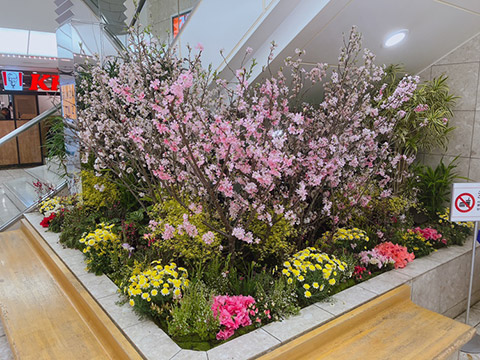 Tokyo Creative Salon 2026